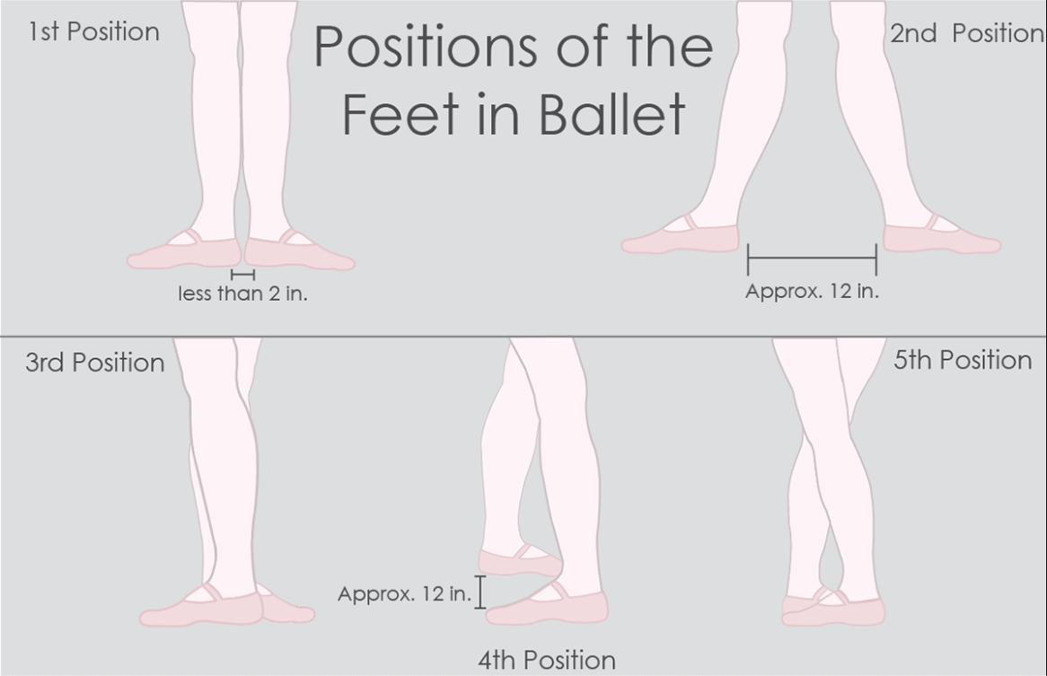 Ballet Terms for Beginners - Dance Classics